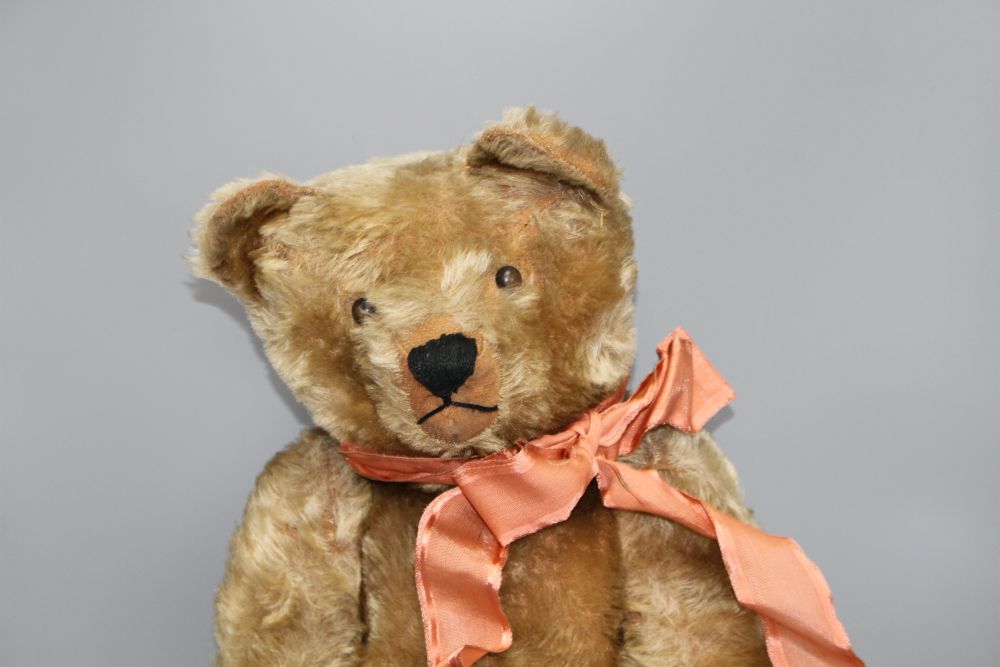 An unusual early bear, c.1920, 24in., button eyes, repairs of paw pads, some hair loss